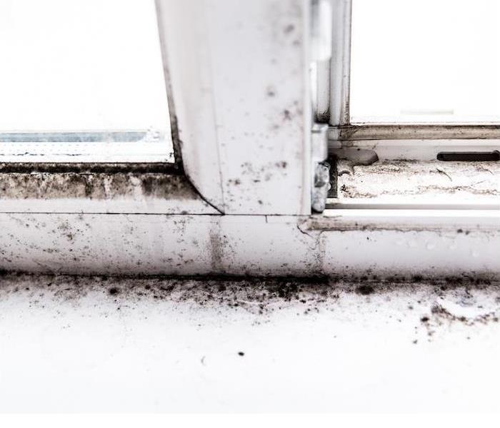 Mold buildup along the windowsill and frame in a home.